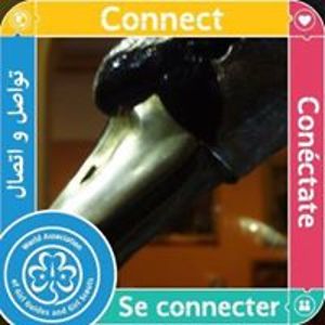 jackieosullivan avatar