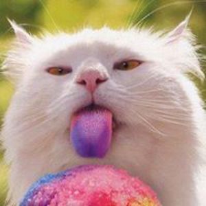 adrenalize1992 avatar