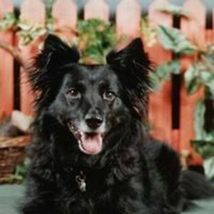 1traceyhumphreys avatar