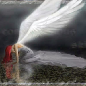 freedomseaker1 avatar