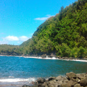 veroniqueparra avatar