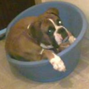 sarahjohnson28 avatar