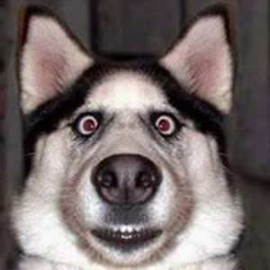 prentice_adler avatar