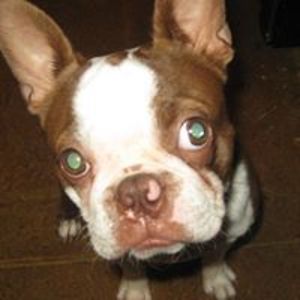 barbarachipman57 avatar