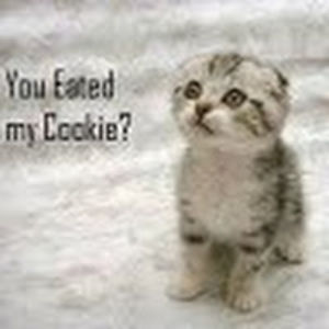 britanniallen avatar