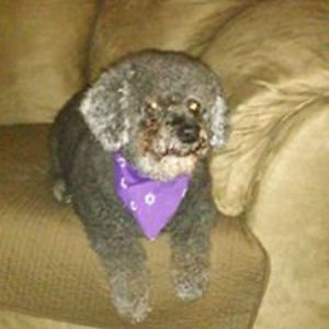 deborah_smith1947 avatar