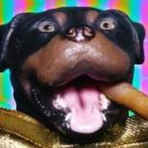 alice_j_fischer avatar