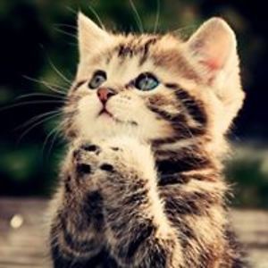 always4children avatar