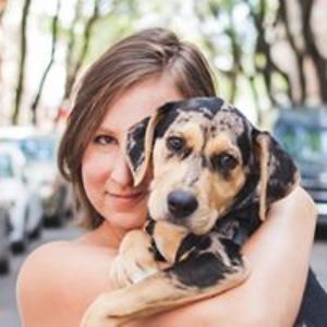 sgoralnicklogin avatar