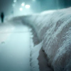 gryseblacolar avatar