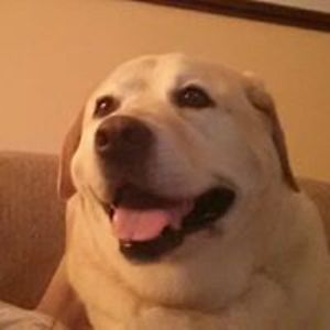 macarthur6677 avatar