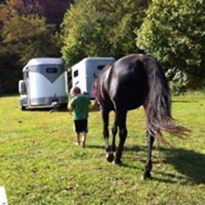 trish1955nicholson avatar