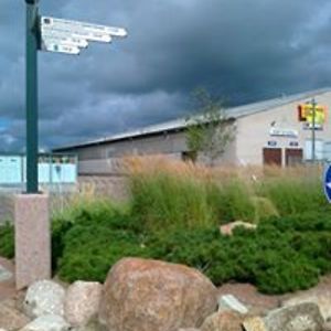 hilkka_viitala avatar