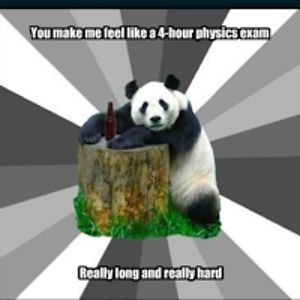 elainearsenault avatar