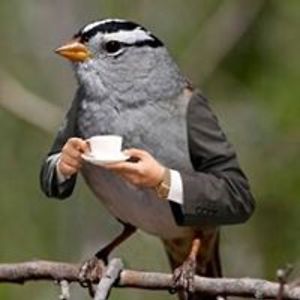 watchyourbabies avatar