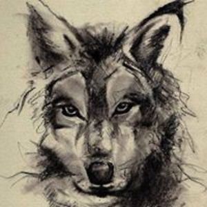 matthew_mays10 avatar