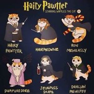 anya_thornqvist avatar