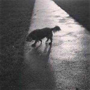 georgethecharlie avatar