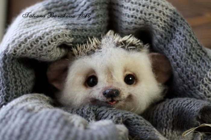 Master From Russian Sankt-petersburg Tatiana Barakova Create Wonderful Toys