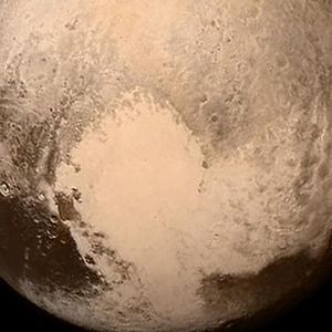 lucas-pflieger avatar