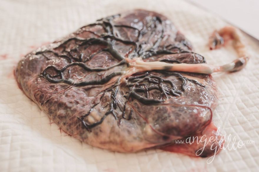 I Document The Raw Beauty Of Birth To Challenge People's Perceptions I Document The Raw Beauty Of Birth To Challenge People's Perceptions