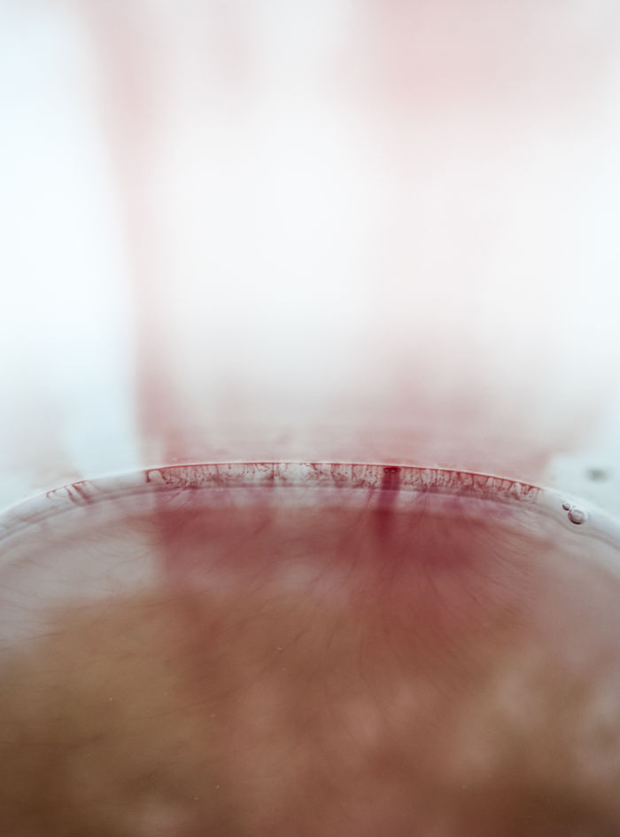 I Used Months Of Menstruation To Create Beauty