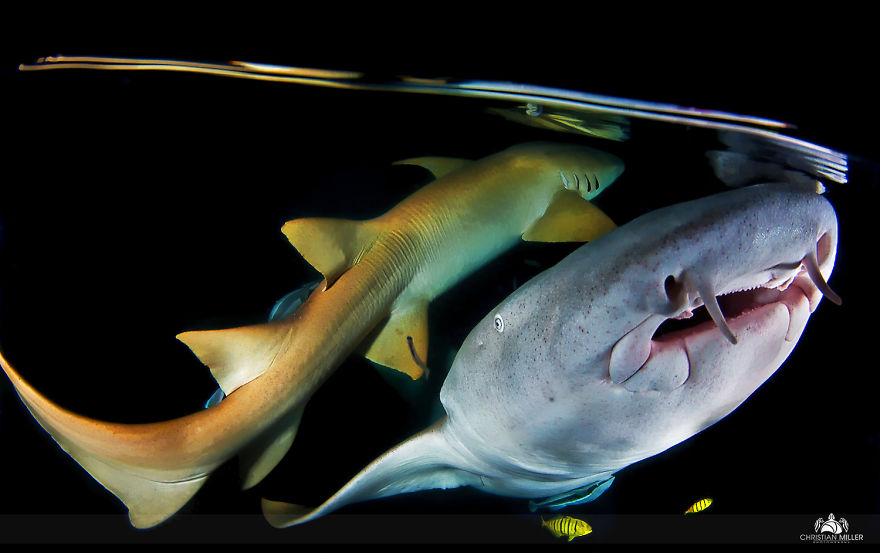 When It Gets Dark ...