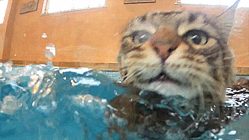 My 6-Year-Old With Autism Creates Stunning Art And Angelina Jolie Just Bought Her Painting! My 6-Year-Old With Autism Creates Stunning Art And Angelina Jolie Just Bought Her Painting!