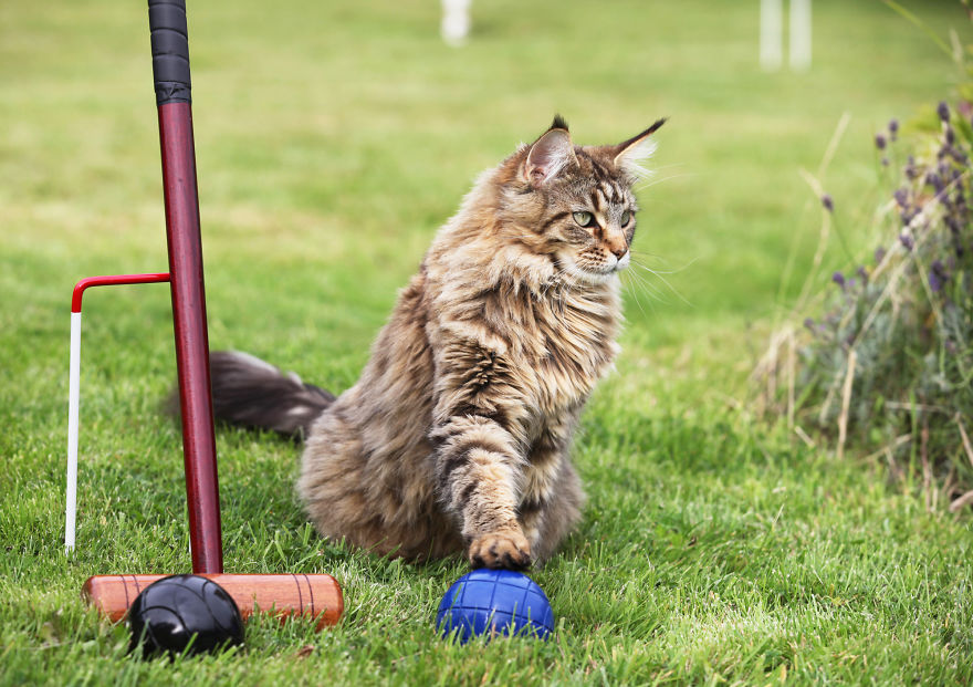 My 6-Year-Old With Autism Creates Stunning Art And Angelina Jolie Just Bought Her Painting! My 6-Year-Old With Autism Creates Stunning Art And Angelina Jolie Just Bought Her Painting!