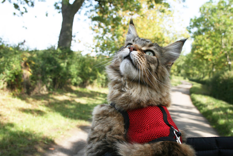 My 6-Year-Old With Autism Creates Stunning Art And Angelina Jolie Just Bought Her Painting! My 6-Year-Old With Autism Creates Stunning Art And Angelina Jolie Just Bought Her Painting!