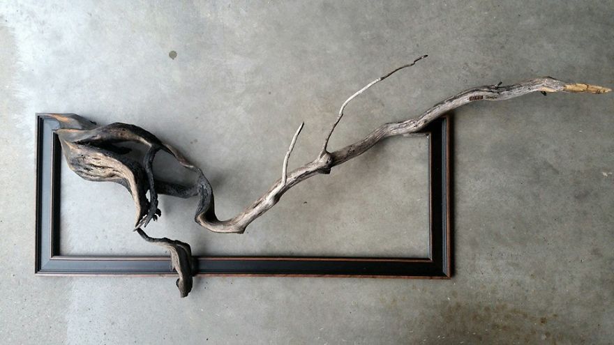 I Give A Second Life To Dead Trees By Fusing Them With Picture Frames