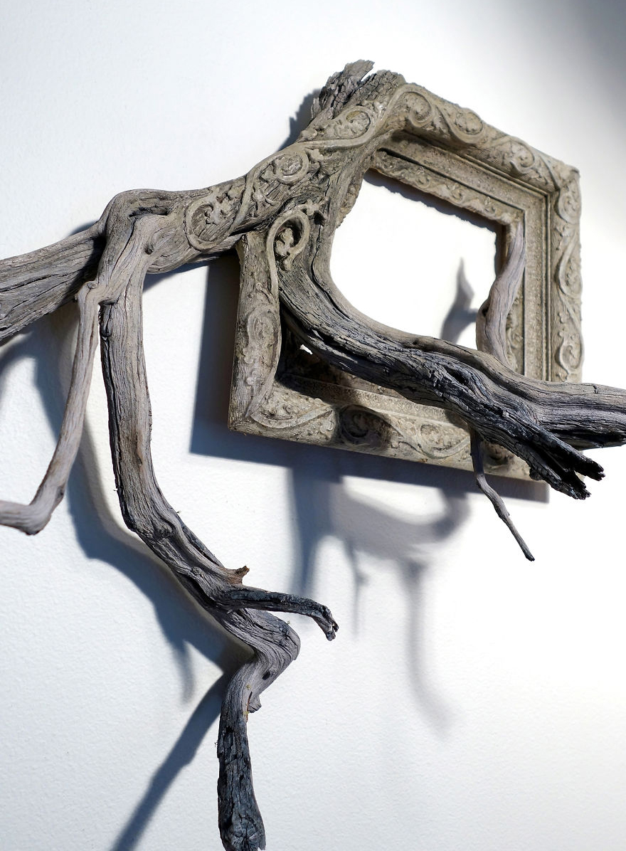 I Give A Second Life To Dead Trees By Fusing Them With Picture Frames
