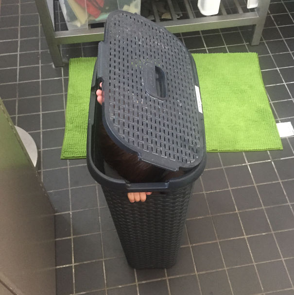 A Tisket, A Tasket ... A Kid In A Laundry Basket?