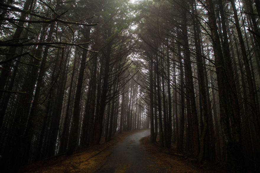 How Punk Rock Continues To Influence My Art. How Punk Rock Continues To Influence My Art.