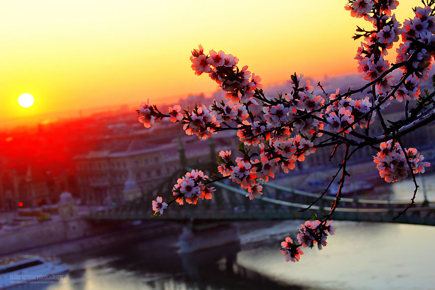 I've Spent 5 Years Hunting For The Perfect Lights To Show The Real Beauty Of Budapest