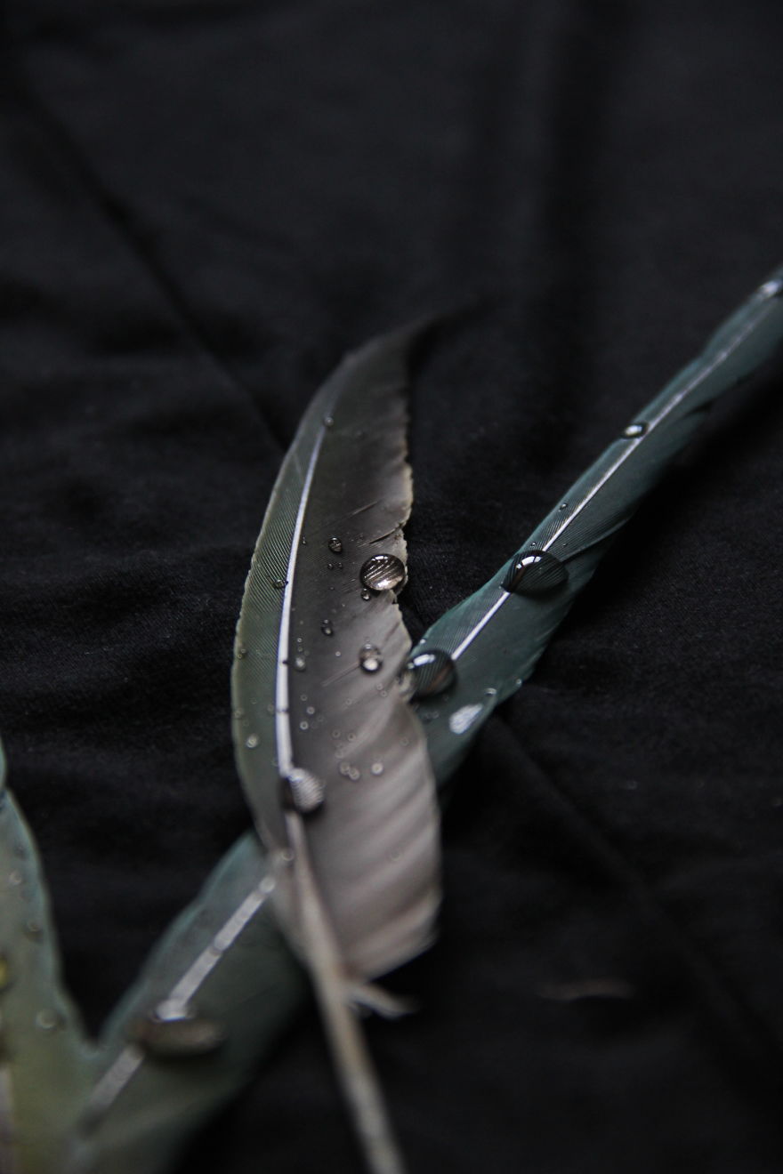 I Take Magical Photos Of Feathers And Water Drops On My Bedroom Floor