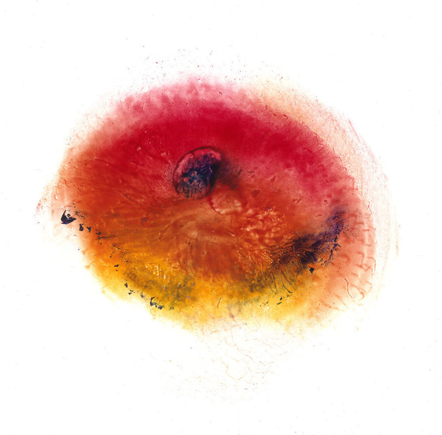 I Make Art From Model's Breasts