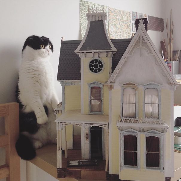 I Quit My Job As A Lawyer To Make Tiny Furniture I Quit My Job As A Lawyer To Make Tiny Furniture