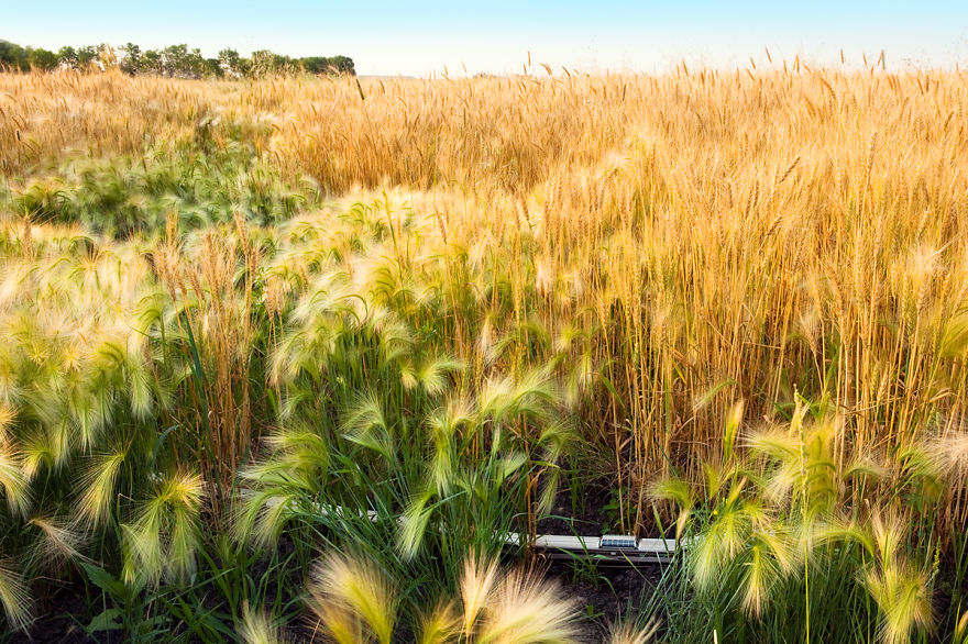 I Took A Vintage Train Across Canada. You Might Notice Something Unusual About The Train… I Took A Vintage Train Across Canada. You Might Notice Something Unusual About The Train…