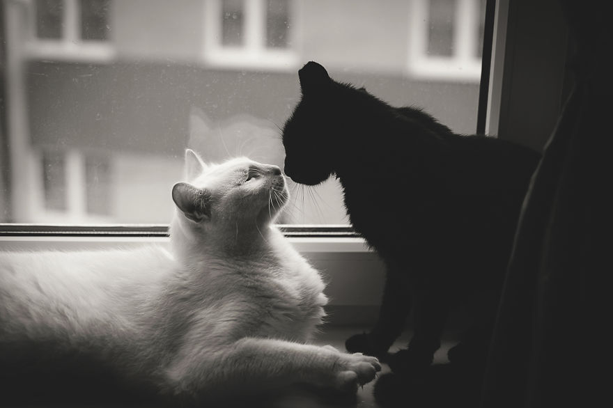 Black&white Love- Monika Małek