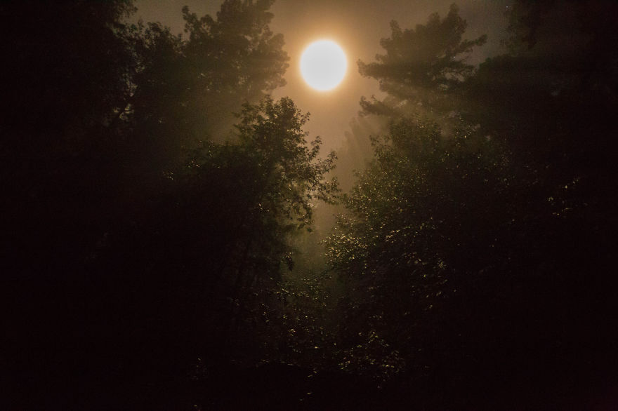 How Punk Rock Continues To Influence My Art. How Punk Rock Continues To Influence My Art.