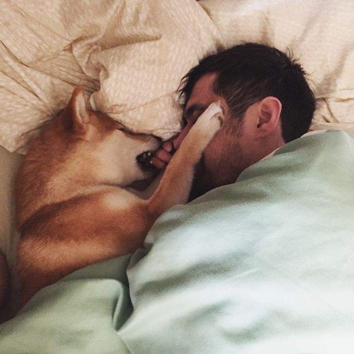 Meet Nana, The Shiba Inu Of My Life Who Is Turning 2 This Thursday