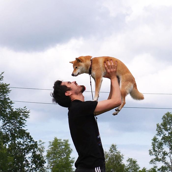 Meet Nana, The Shiba Inu Of My Life Who Is Turning 2 This Thursday