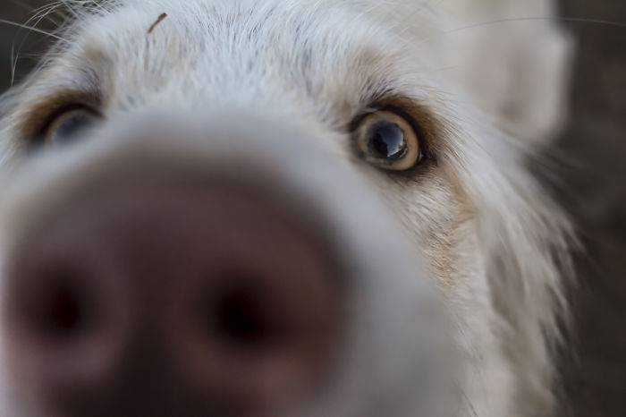 Here, Get My Good Side!