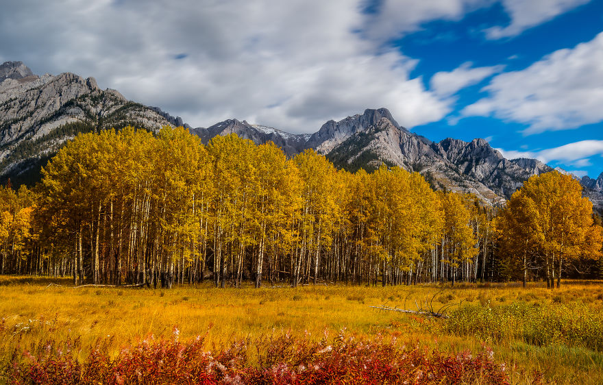 The Canadian Rockies Is The Most Beautiful Place That I've Ever Travelled To