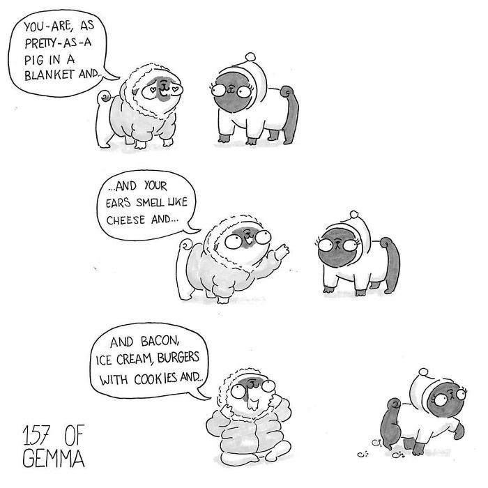 Cute Pug