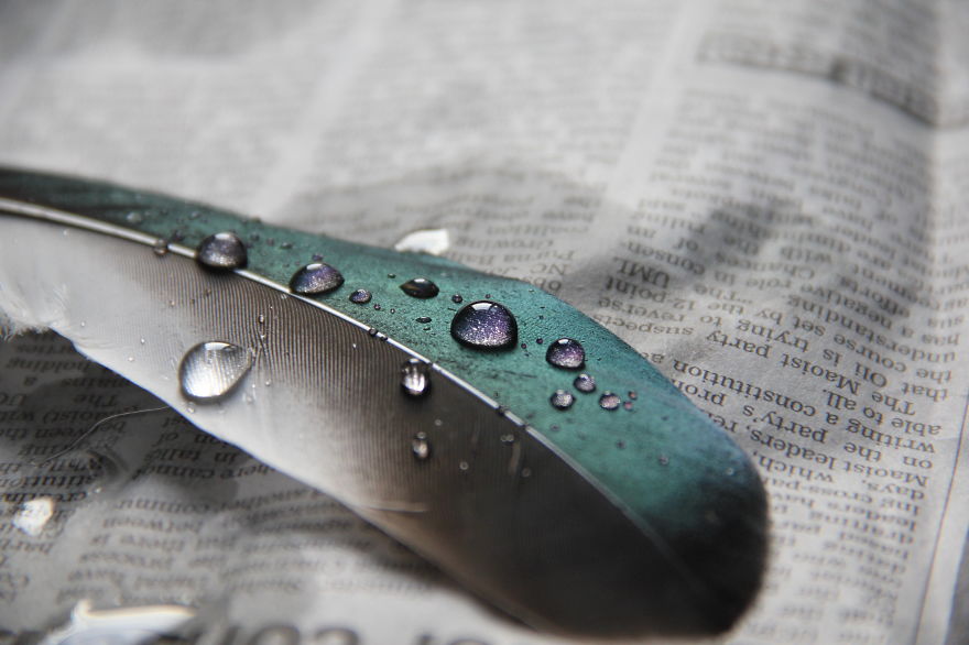 I Take Magical Photos Of Feathers And Water Drops On My Bedroom Floor I Take Magical Photos Of Feathers And Water Drops On My Bedroom Floor