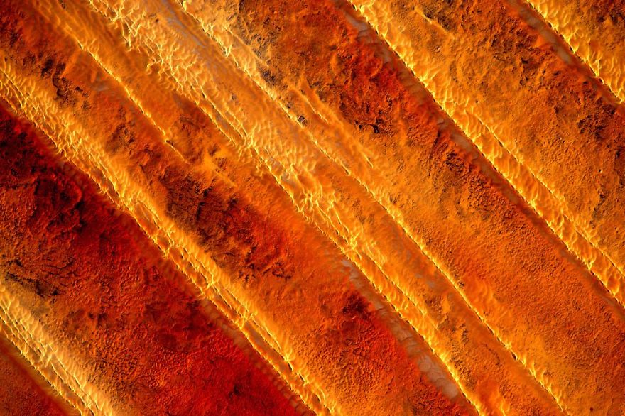 A Brief Collection Of Photos From 'Year In Space' Mission