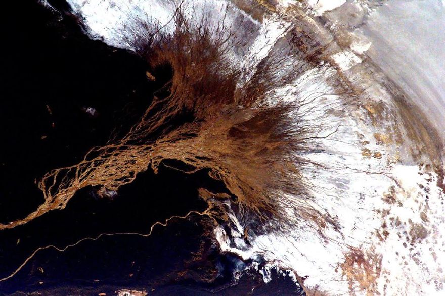 A Brief Collection Of Photos From 'Year In Space' Mission