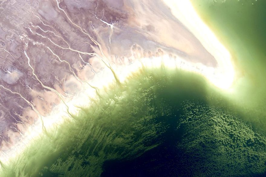 A Brief Collection Of Photos From 'Year In Space' Mission